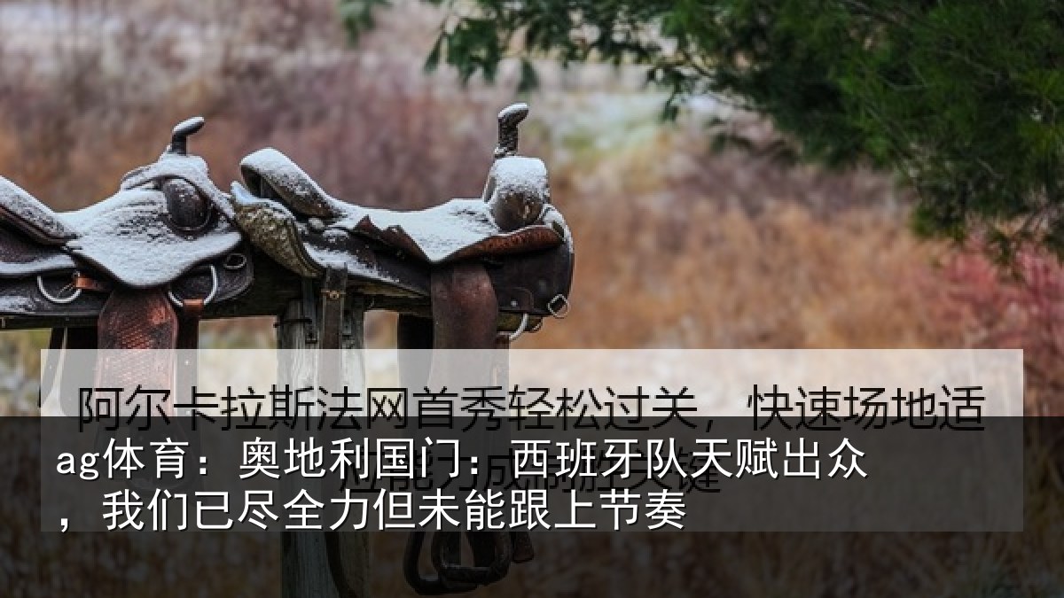 ag体育:奥地相关情况赋出相关情况未能跟上节奏