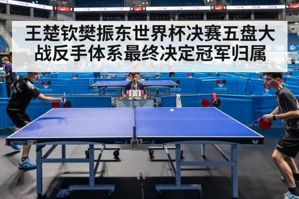 王楚钦樊振东世界杯决赛五盘大战反手体系最终决定冠军归属