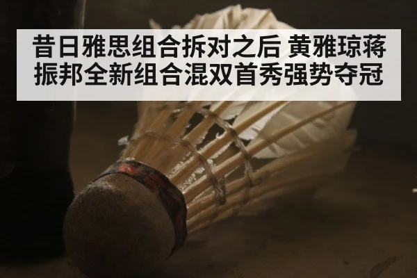 昔日雅思组合拆对之后 黄雅琼蒋振邦全新组合混双首秀强势夺冠