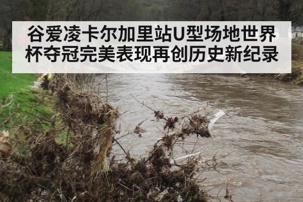 谷爱凌卡尔加里站U型场地世界杯夺冠完美表现再创历史新纪录